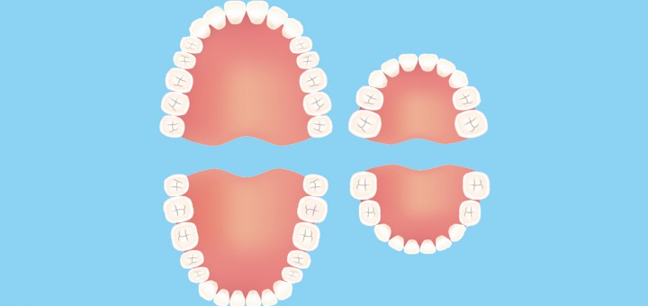 tooth