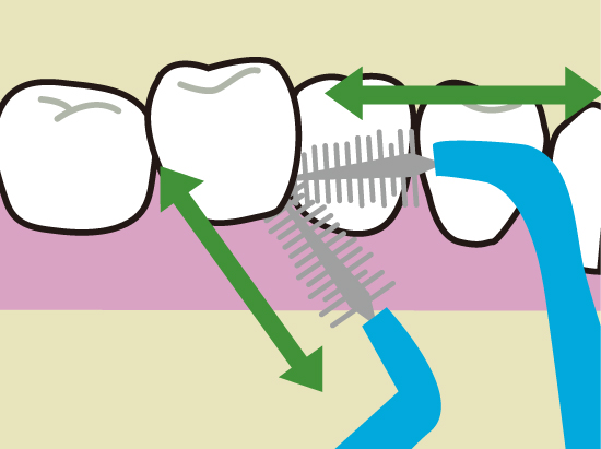 歯間ブラシの使い方2